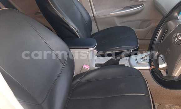 Buy New Toyota Axio Silver Car in Harare in Harare Buy New Toyota Axio Silver Car in Harare in Harare