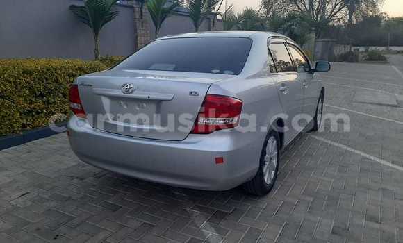 Buy New Toyota Axio Silver Car in Harare in Harare Buy New Toyota Axio Silver Car in Harare in Harare