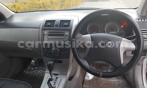 Buy New Toyota Axio Silver Car in Harare in Harare Buy New Toyota Axio Silver Car in Harare in Harare