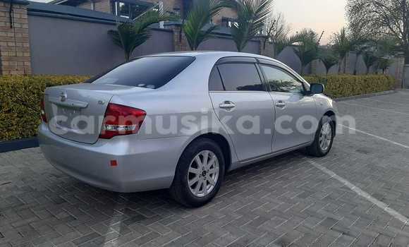 Buy New Toyota Axio Silver Car in Harare in Harare Buy New Toyota Axio Silver Car in Harare in Harare