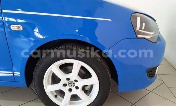 Tenga Tsaru Volkswagen Polo Bhuruu Mota in Beitbridge in Matabeleland South Tenga Tsaru Volkswagen Polo Bhuruu Mota in Beitbridge in Matabeleland South