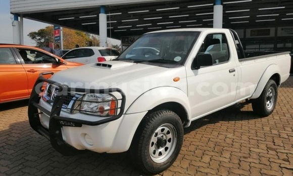 Tenga Tsaru Nissan NP 300 Chena Mota in Beitbridge in Matabeleland South Tenga Tsaru Nissan NP 300 Chena Mota in Beitbridge in Matabeleland South