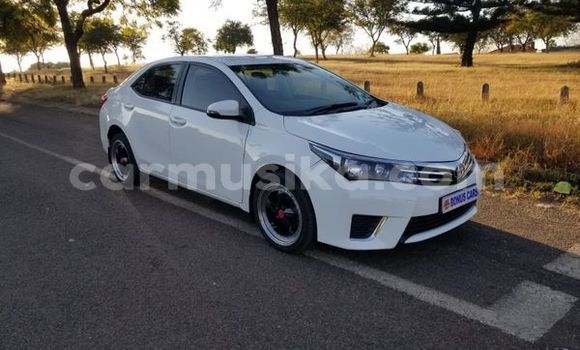 Nunua Ilio tumika Toyota Corolla Nyeupe Gari ndani ya Beitbridge nchini Matabeleland Kusini