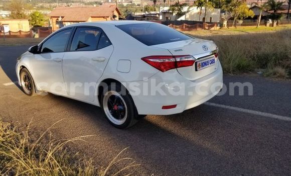 Nunua Ilio tumika Toyota Corolla Nyeupe Gari ndani ya Beitbridge nchini Matabeleland Kusini Nunua Ilio tumika Toyota Corolla Nyeupe Gari ndani ya Beitbridge nchini Matabeleland Kusini