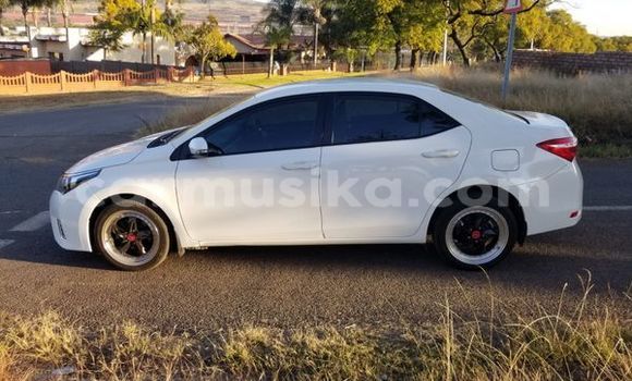 Nunua Ilio tumika Toyota Corolla Nyeupe Gari ndani ya Beitbridge nchini Matabeleland Kusini Nunua Ilio tumika Toyota Corolla Nyeupe Gari ndani ya Beitbridge nchini Matabeleland Kusini