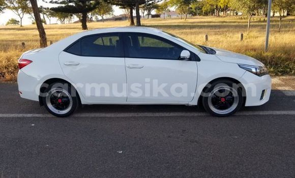 Nunua Ilio tumika Toyota Corolla Nyeupe Gari ndani ya Beitbridge nchini Matabeleland Kusini Nunua Ilio tumika Toyota Corolla Nyeupe Gari ndani ya Beitbridge nchini Matabeleland Kusini