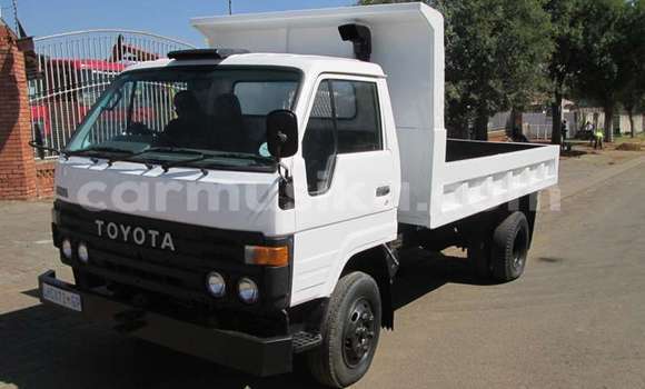 Tenga Tsaru Toyota Dyna Chena Rori in Beitbridge in Matabeleland South