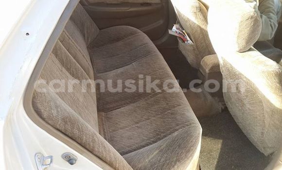 Tenga Tsaru Toyota Corolla Sirivha Mota in Alexandra Park in Harare Tenga Tsaru Toyota Corolla Sirivha Mota in Alexandra Park in Harare