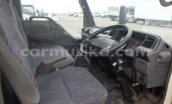 Buy Used Isuzu Elf Other Truck in Beitbridge in Matabeleland South Buy Used Isuzu Elf Other Truck in Beitbridge in Matabeleland South