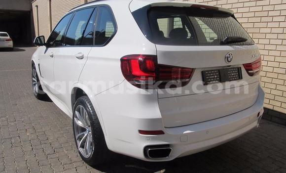Tenga Tsaru BMW X5 Chena Mota in Beitbridge in Matabeleland South Tenga Tsaru BMW X5 Chena Mota in Beitbridge in Matabeleland South