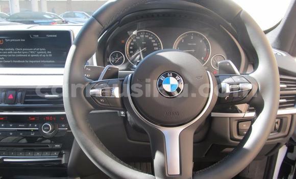 Tenga Tsaru BMW X5 Chena Mota in Beitbridge in Matabeleland South Tenga Tsaru BMW X5 Chena Mota in Beitbridge in Matabeleland South