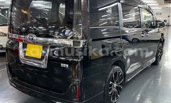 Buy Used Toyota Nadia Black Car in Beitbridge in Matabeleland South Buy Used Toyota Nadia Black Car in Beitbridge in Matabeleland South