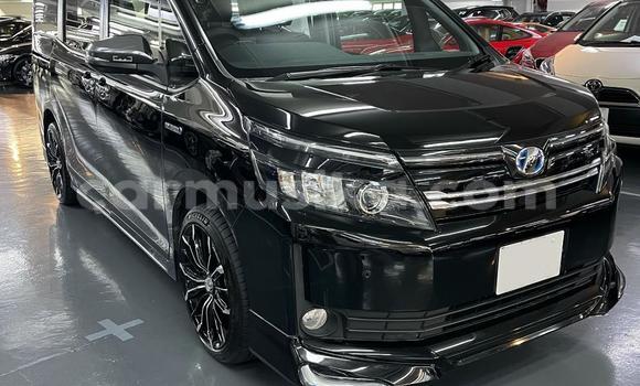 Buy Used Toyota Nadia Black Car in Beitbridge in Matabeleland South Buy Used Toyota Nadia Black Car in Beitbridge in Matabeleland South