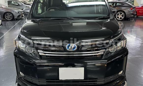 Buy Used Toyota Nadia Black Car in Beitbridge in Matabeleland South Buy Used Toyota Nadia Black Car in Beitbridge in Matabeleland South