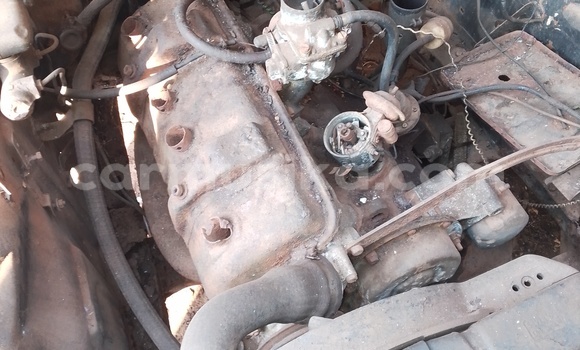 Nunua Ilio tumika Peugeot 402 Nyeupe Gari ndani ya Harare nchini Harare