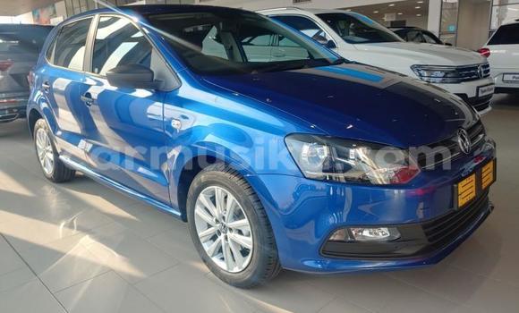 Buy New Volkswagen Polo Blue Car in Beitbridge in Matabeleland South