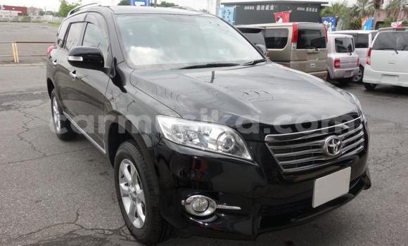 Buy Used Toyota Vanguard Black Car in Beitbridge in Matabeleland South