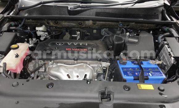 Tenga Tsaru Toyota Vanguard Nhema Mota in Beitbridge in Matabeleland South Tenga Tsaru Toyota Vanguard Nhema Mota in Beitbridge in Matabeleland South