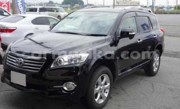 Tenga Tsaru Toyota Vanguard Nhema Mota in Beitbridge in Matabeleland South Tenga Tsaru Toyota Vanguard Nhema Mota in Beitbridge in Matabeleland South