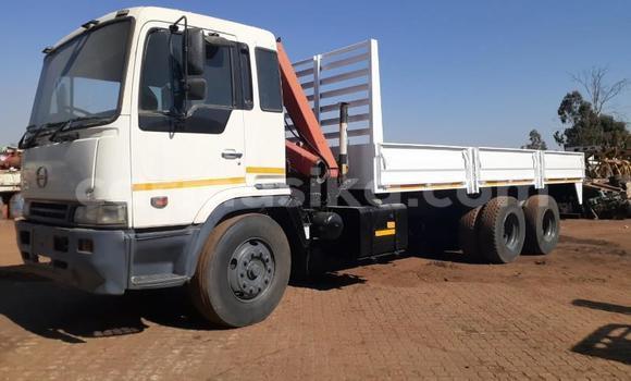 Buy Used Toyota Dyna White Car in Beitbridge in Matabeleland South