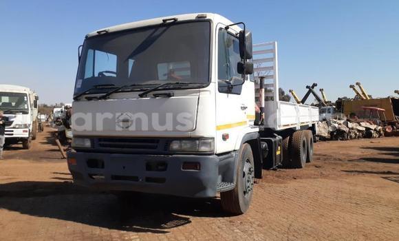 Buy Used Toyota Dyna White Car in Beitbridge in Matabeleland South Buy Used Toyota Dyna White Car in Beitbridge in Matabeleland South