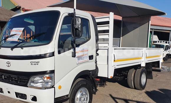 Tenga Tsaru Toyota Dyna Chena Mota in Beitbridge in Matabeleland South