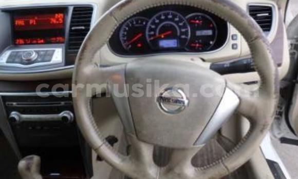 Tenga Tsaru Nissan Teana Chena Mota in Beitbridge in Matabeleland South Tenga Tsaru Nissan Teana Chena Mota in Beitbridge in Matabeleland South