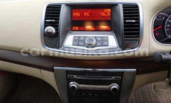 Tenga Tsaru Nissan Teana Chena Mota in Beitbridge in Matabeleland South Tenga Tsaru Nissan Teana Chena Mota in Beitbridge in Matabeleland South