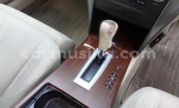 Tenga Tsaru Nissan Teana Chena Mota in Beitbridge in Matabeleland South Tenga Tsaru Nissan Teana Chena Mota in Beitbridge in Matabeleland South