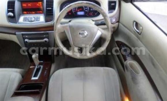 Tenga Tsaru Nissan Teana Chena Mota in Beitbridge in Matabeleland South Tenga Tsaru Nissan Teana Chena Mota in Beitbridge in Matabeleland South