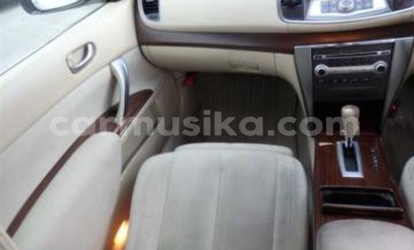 Tenga Tsaru Nissan Teana Chena Mota in Beitbridge in Matabeleland South Tenga Tsaru Nissan Teana Chena Mota in Beitbridge in Matabeleland South