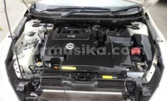 Tenga Tsaru Nissan Teana Chena Mota in Beitbridge in Matabeleland South Tenga Tsaru Nissan Teana Chena Mota in Beitbridge in Matabeleland South