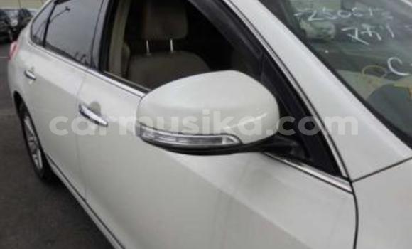 Tenga Tsaru Nissan Teana Chena Mota in Beitbridge in Matabeleland South Tenga Tsaru Nissan Teana Chena Mota in Beitbridge in Matabeleland South