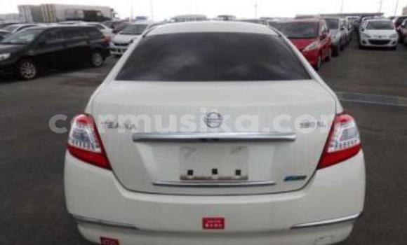 Tenga Tsaru Nissan Teana Chena Mota in Beitbridge in Matabeleland South Tenga Tsaru Nissan Teana Chena Mota in Beitbridge in Matabeleland South