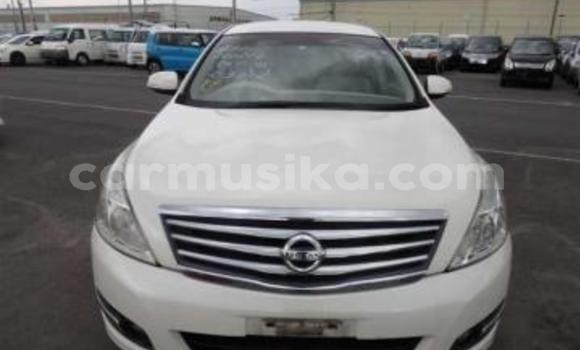 Tenga Tsaru Nissan Teana Chena Mota in Beitbridge in Matabeleland South Tenga Tsaru Nissan Teana Chena Mota in Beitbridge in Matabeleland South