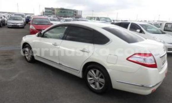 Tenga Tsaru Nissan Teana Chena Mota in Beitbridge in Matabeleland South Tenga Tsaru Nissan Teana Chena Mota in Beitbridge in Matabeleland South