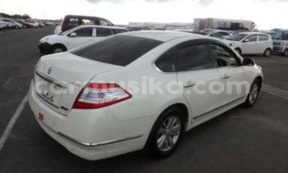 Tenga Tsaru Nissan Teana Chena Mota in Beitbridge in Matabeleland South Tenga Tsaru Nissan Teana Chena Mota in Beitbridge in Matabeleland South
