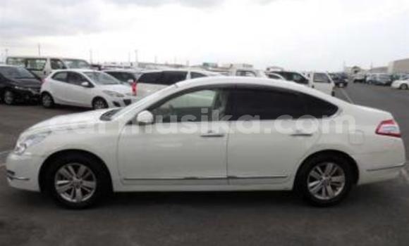 Tenga Tsaru Nissan Teana Chena Mota in Beitbridge in Matabeleland South Tenga Tsaru Nissan Teana Chena Mota in Beitbridge in Matabeleland South