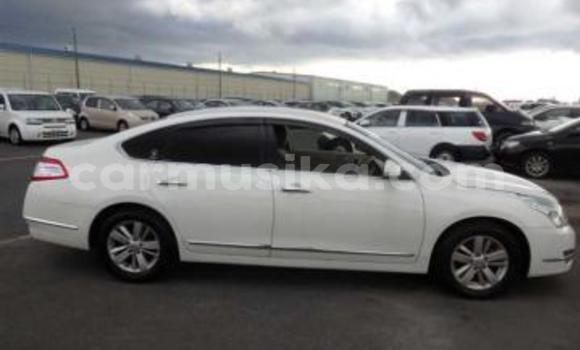 Tenga Tsaru Nissan Teana Chena Mota in Beitbridge in Matabeleland South Tenga Tsaru Nissan Teana Chena Mota in Beitbridge in Matabeleland South