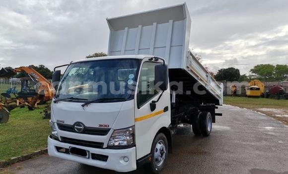 Tenga Tsaru Toyota Dyna Chena Mota in Beitbridge in Matabeleland South Tenga Tsaru Toyota Dyna Chena Mota in Beitbridge in Matabeleland South
