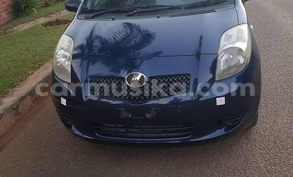 Buy Used Toyota Vitz Blue Car in Alexandra Park in Harare Buy Used Toyota Vitz Blue Car in Alexandra Park in Harare