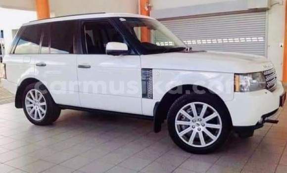 Buy Used Land Rover Range Rover White Car in Beitbridge in Matabeleland South