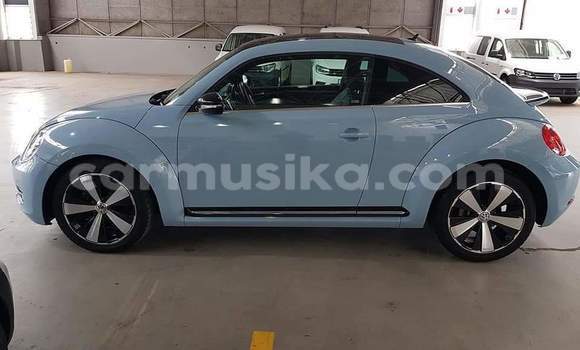 Buy Used Volkswagen Beetle Blue Car in Beitbridge in Matabeleland South Buy Used Volkswagen Beetle Blue Car in Beitbridge in Matabeleland South