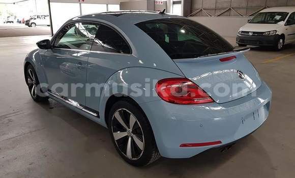 Buy Used Volkswagen Beetle Blue Car in Beitbridge in Matabeleland South Buy Used Volkswagen Beetle Blue Car in Beitbridge in Matabeleland South