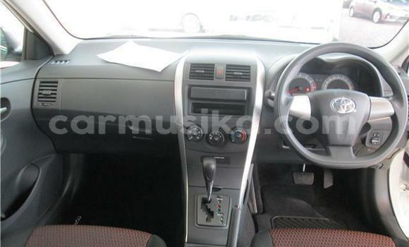 Acheter Occasion Voiture Toyota Corolla Blanc à Beitbridge, Matabeleland South Acheter Occasion Voiture Toyota Corolla Blanc à Beitbridge, Matabeleland South