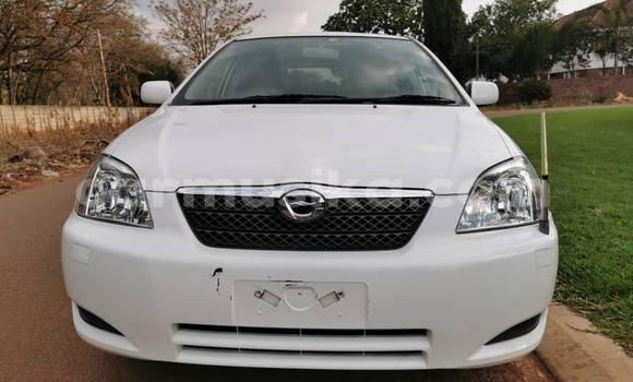 Buy import toyota runx white car in harare in harare - carmusika