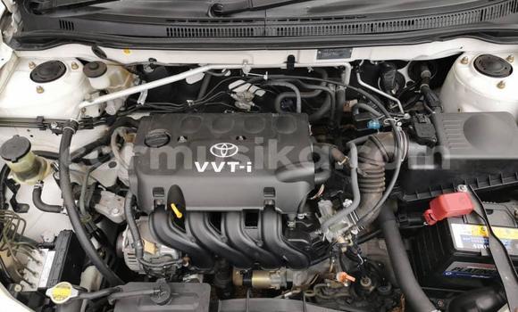 Buy Import Toyota Runx White Car in Harare in Harare Buy Import Toyota Runx White Car in Harare in Harare