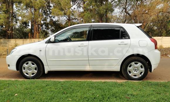 Buy Import Toyota Runx White Car in Harare in Harare Buy Import Toyota Runx White Car in Harare in Harare