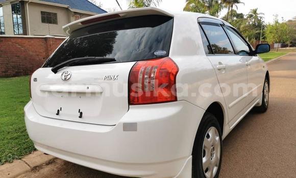 Buy Import Toyota Runx White Car in Harare in Harare Buy Import Toyota Runx White Car in Harare in Harare