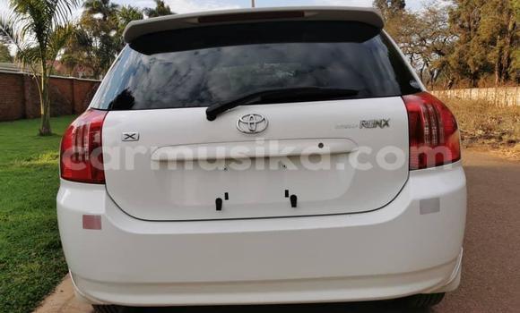 Buy Import Toyota Runx White Car in Harare in Harare Buy Import Toyota Runx White Car in Harare in Harare